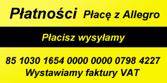 Brico płatności